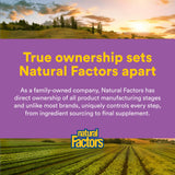 Natural Factors producto junto a almohada evocando conciliación y descanso