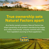 Natural Factors tazón con receta mezclada demostrando versatilidad culinaria