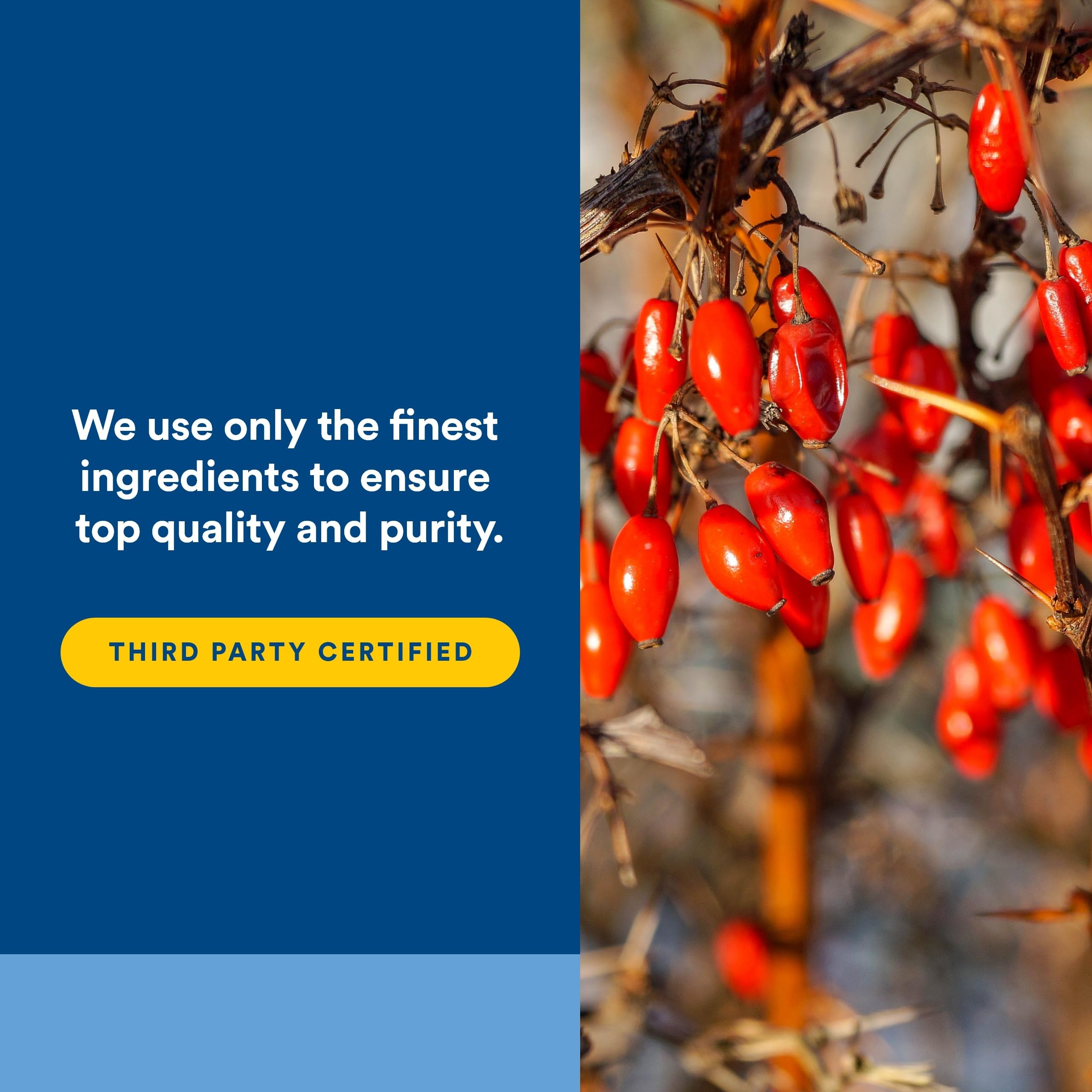 Natural Factors ingredientes en campo, evidencia de origen sostenible