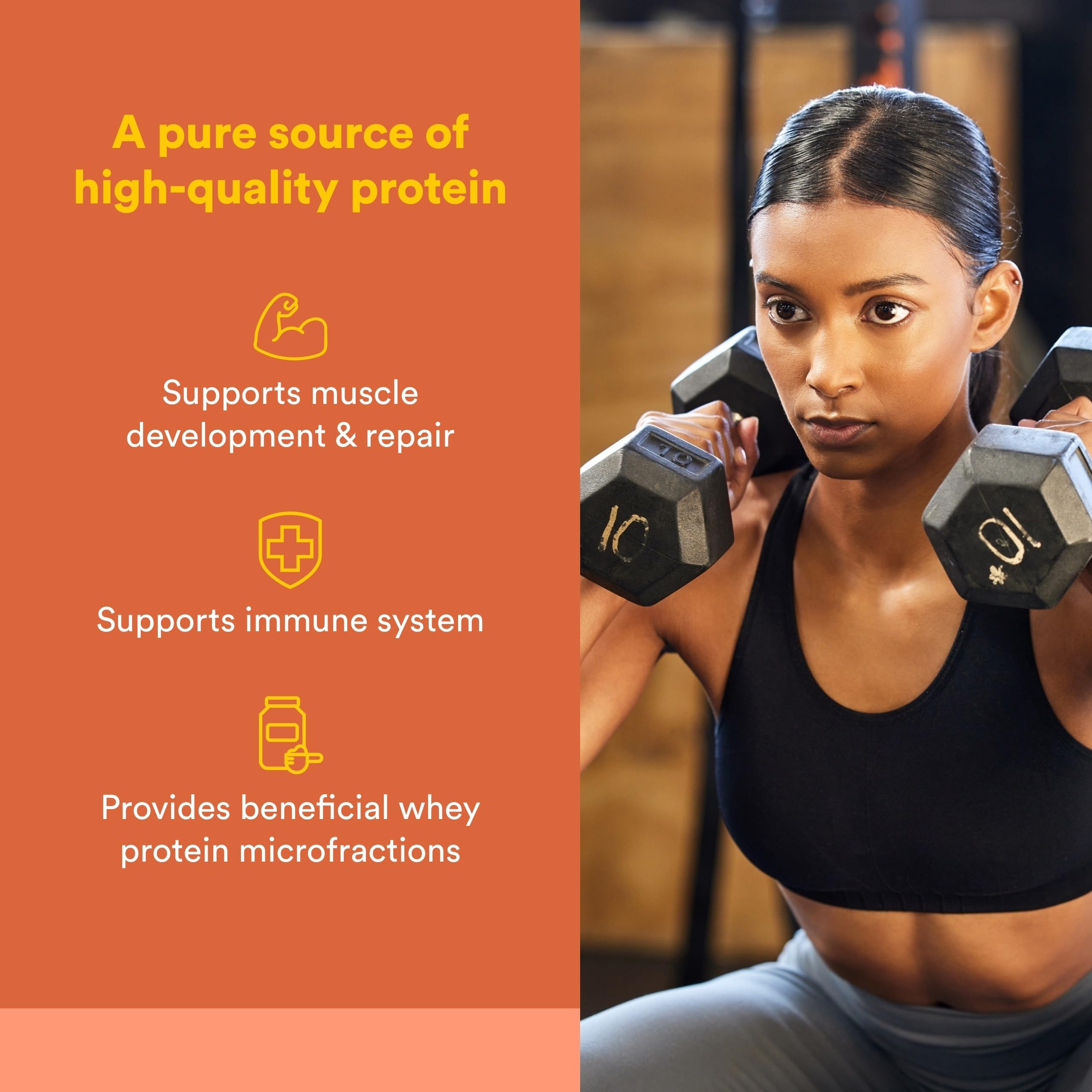 Natural Factors polvo de whey cerca para ver textura fina y fácil disolución