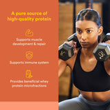 Natural Factors polvo de whey cerca para ver textura fina y fácil disolución