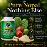 Natural Home Cures cápsulas 500 mg apiladas que facilitan la dosis diaria