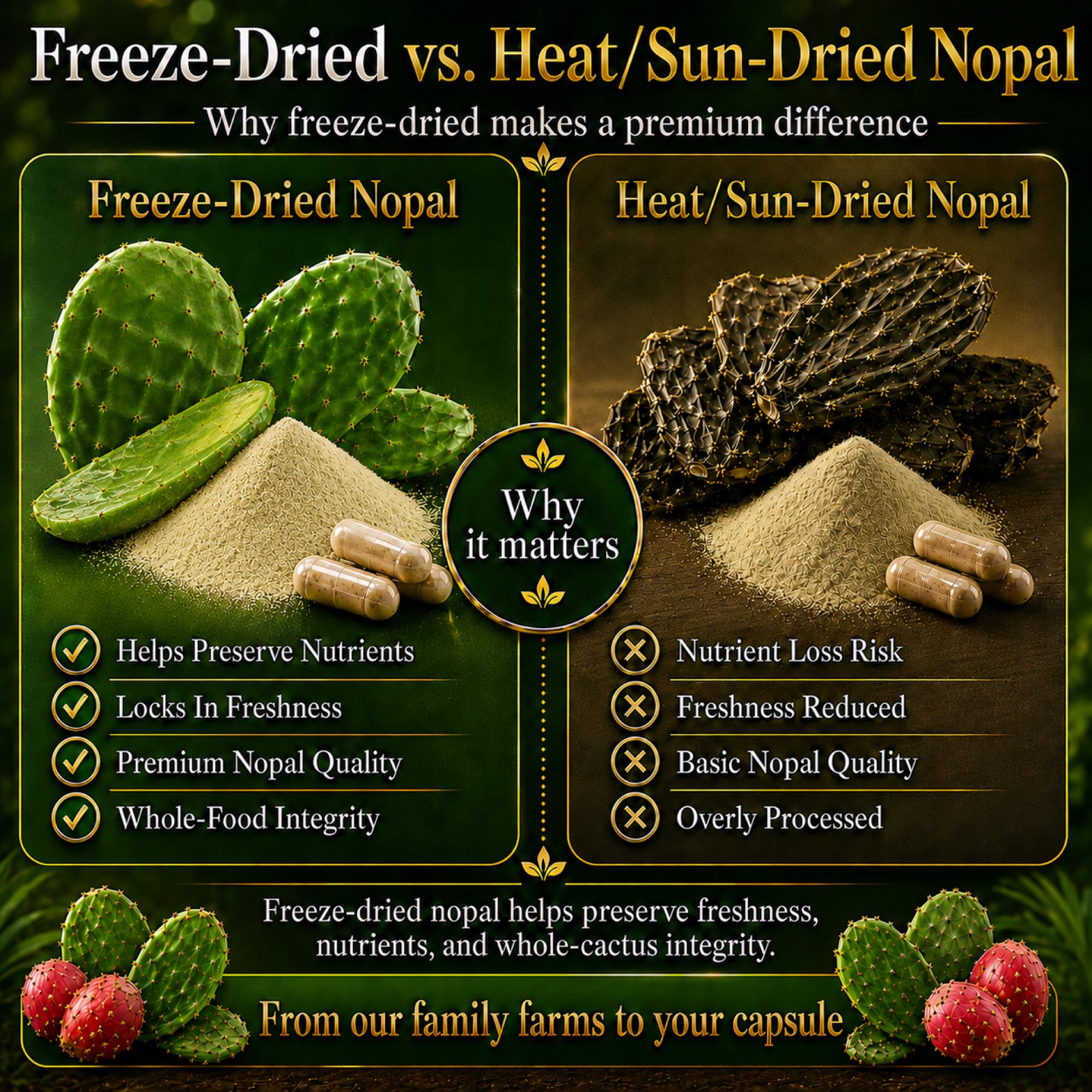 Natural Home Cures cápsula en mano para comparar tamaño y conveniencia