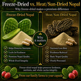 Natural Home Cures cápsula en mano para comparar tamaño y conveniencia