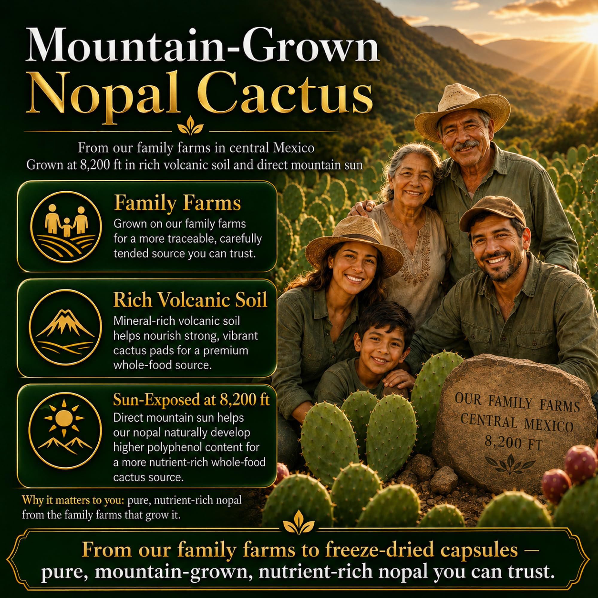 Natural Home Cures etiqueta con ingredientes claros y sin rellenos