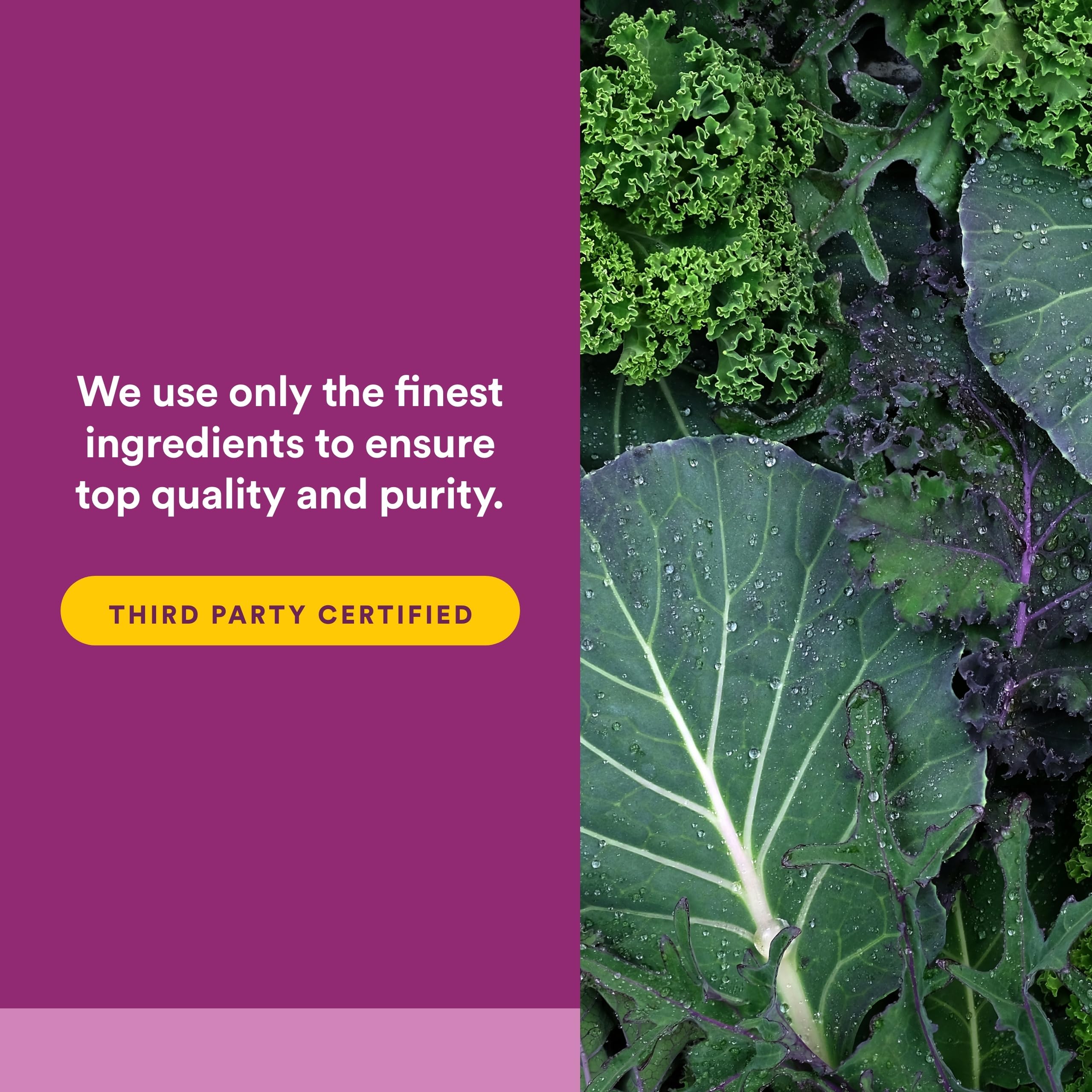 Natural Factors cápsula junto a regla para mostrar tamaño y proporción