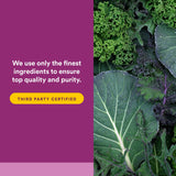 Natural Factors cápsula junto a regla para mostrar tamaño y proporción