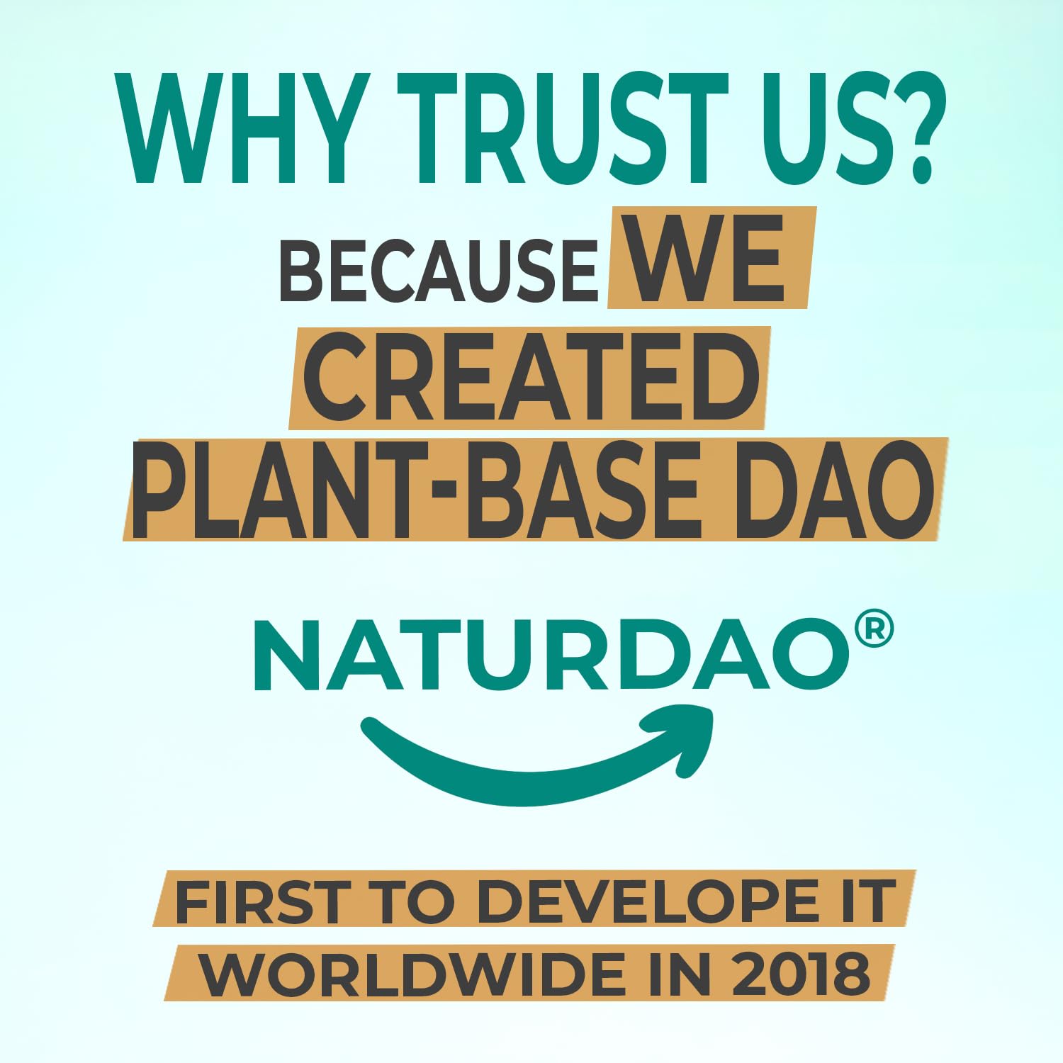NATURDAO comprimido liberación prolongada textura y recubrimiento protector