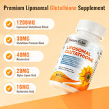 Nature Echo detalle de cápsula liposomal que evidencia absorción eficaz