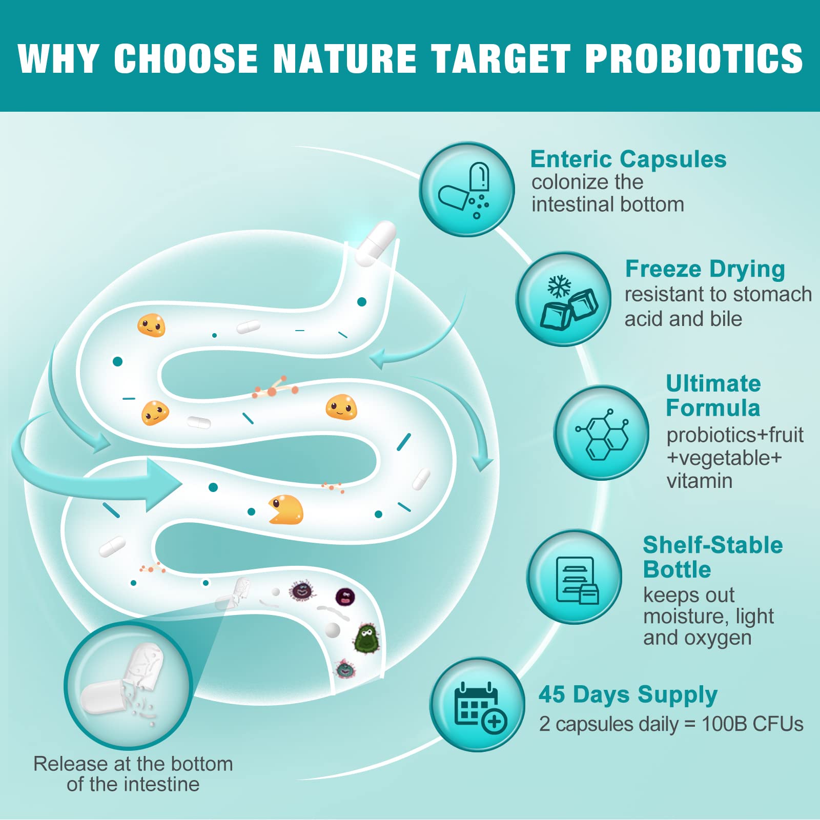 NATURE TARGET detalle de cápsula entérica que protege probióticos para mejor absorción