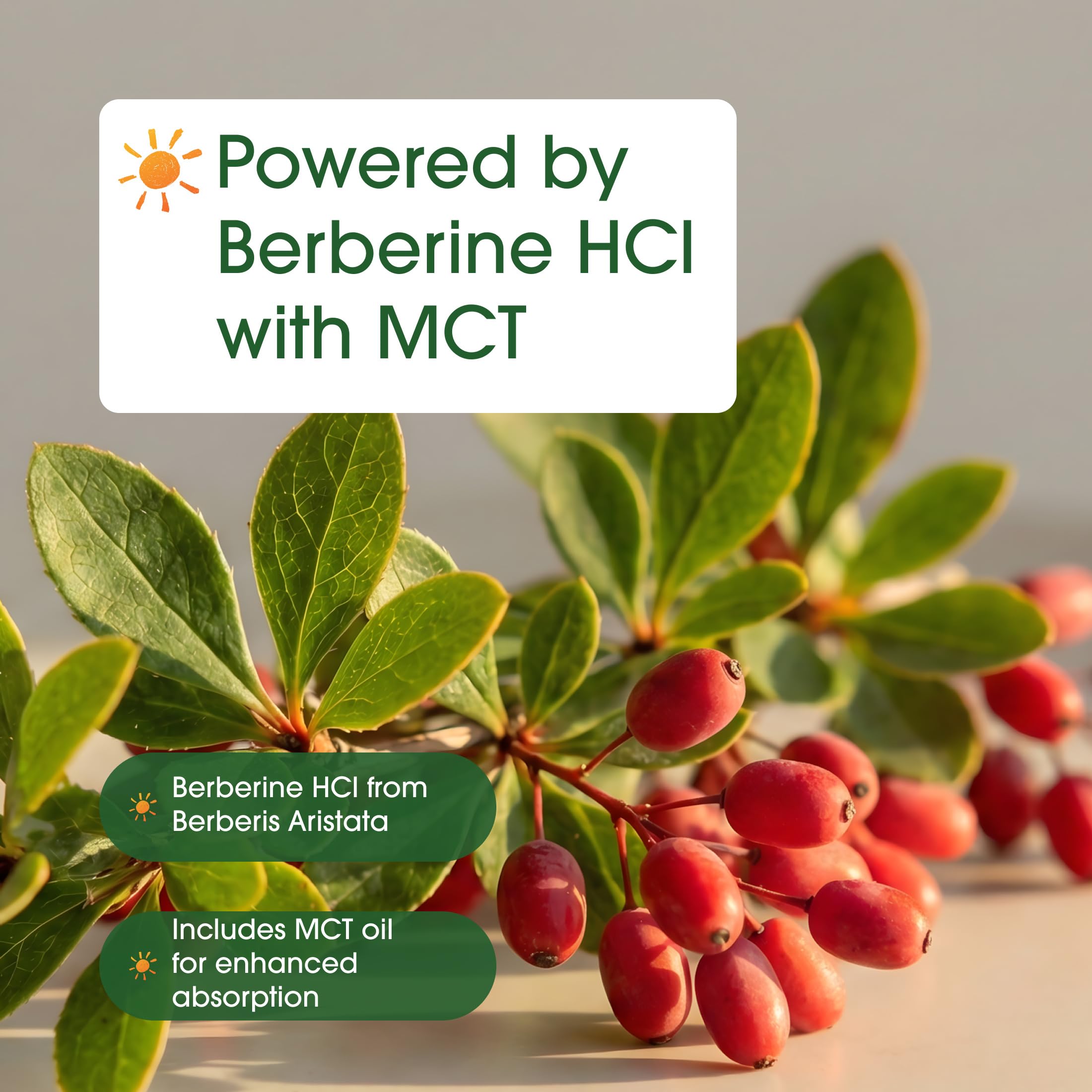 NatureBell aceite MCT en gotero que mejora la absorción