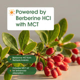 NatureBell aceite MCT en gotero que mejora la absorción