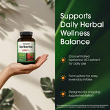 NatureBell cápsula en mano para comparación de tamaño práctico