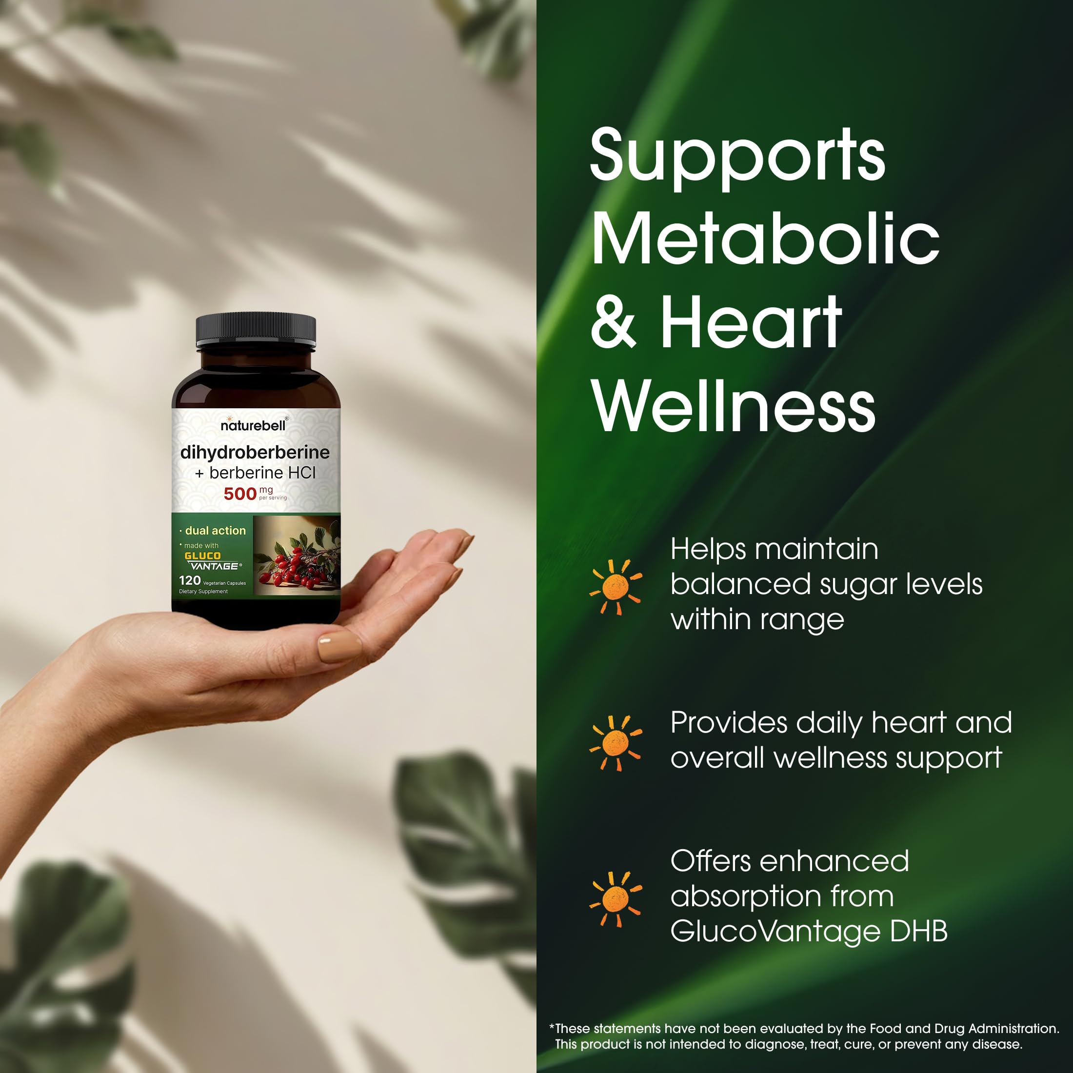 NatureBell raíz de Berberis aristata ingrediente botánico de alta pureza