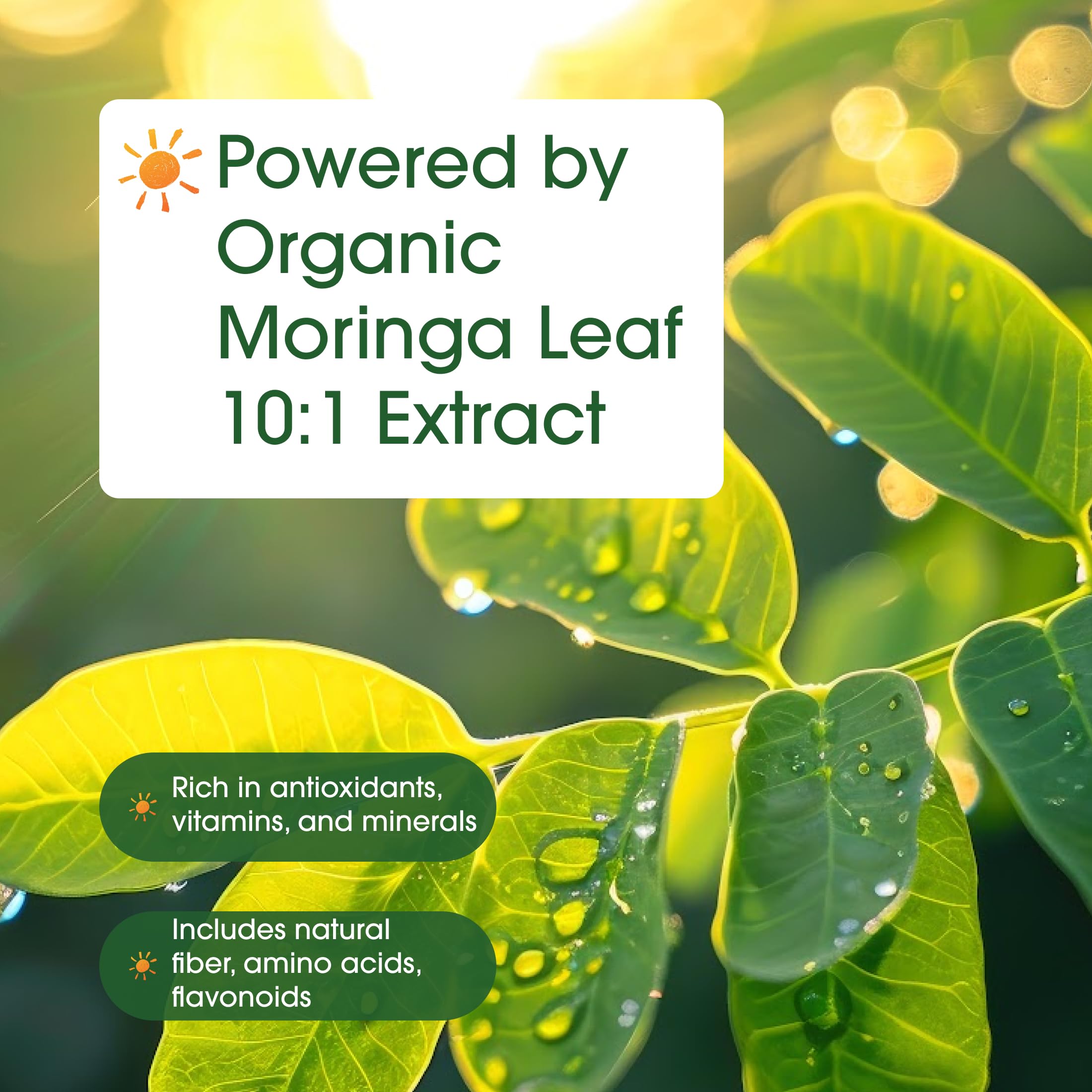 NatureBell hojas de moringa frescas destacando origen y calidad