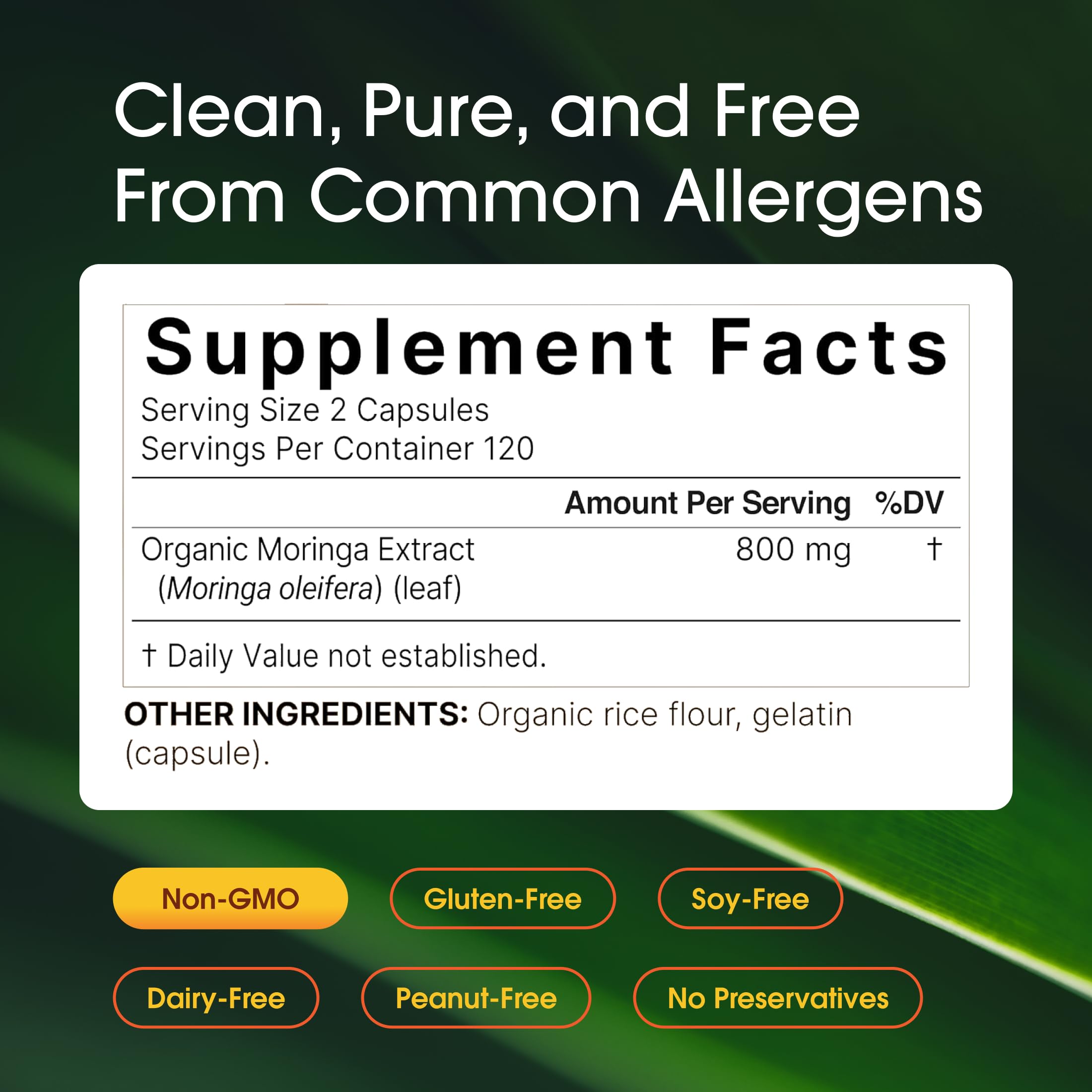 NatureBell polvo de moringa textura para evidenciar pureza y origen vegetal