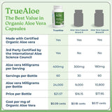 NatureCity polvo de Aloe vera liofilizado cerca mostrando pureza
