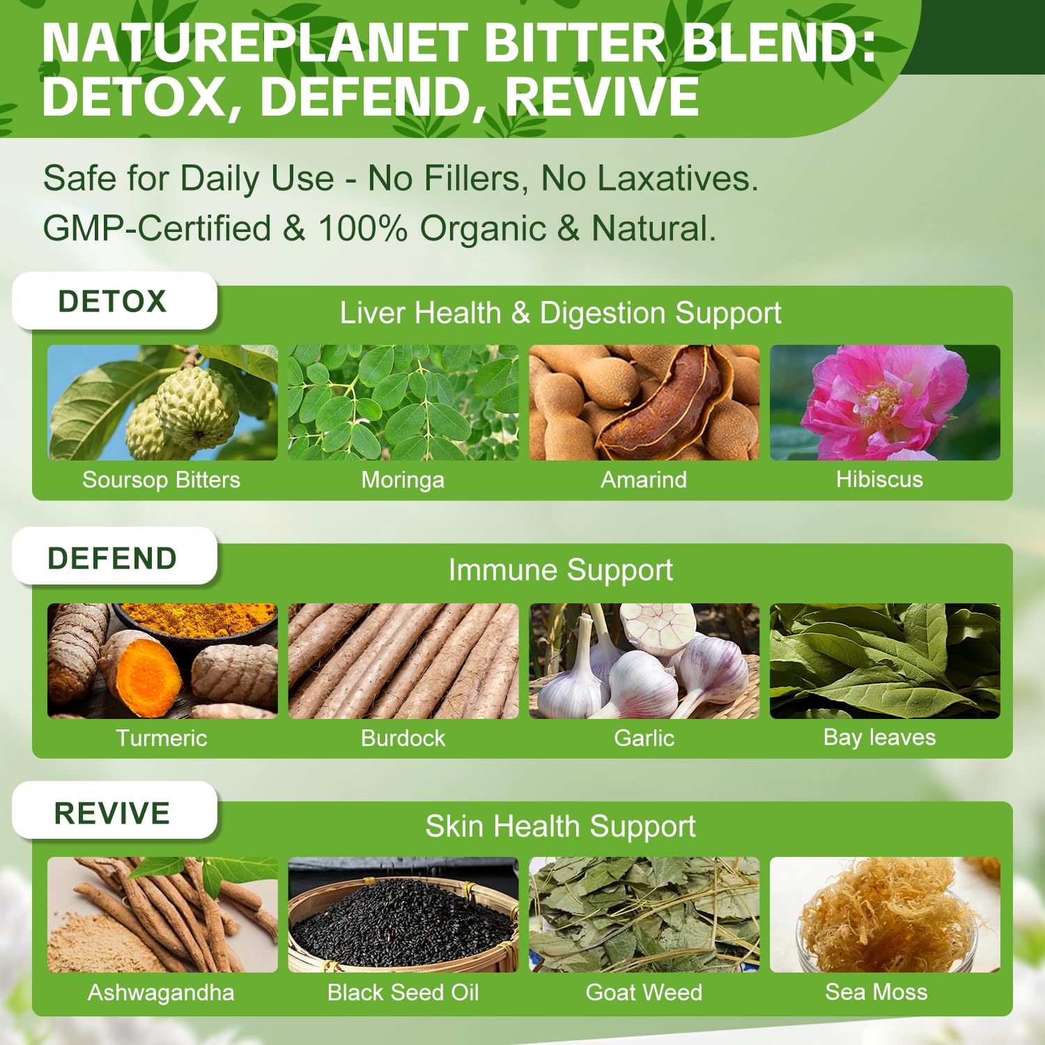 NaturePlanet variedad de ingredientes secos para visualizar la sinergia
