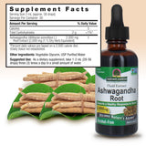 Nature's Answer pipeta con 1 ml medido, facilidad de dosificación diaria