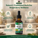 Nature's Answer etiqueta de ingredientes y concentraciones, transparencia útil