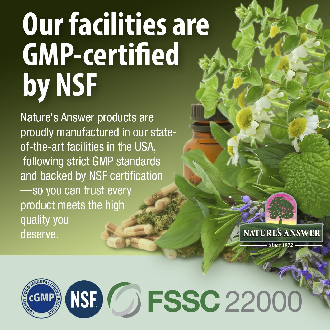 Nature's Answer frasco en ambiente natural con hojas para transmitir origen herbal
