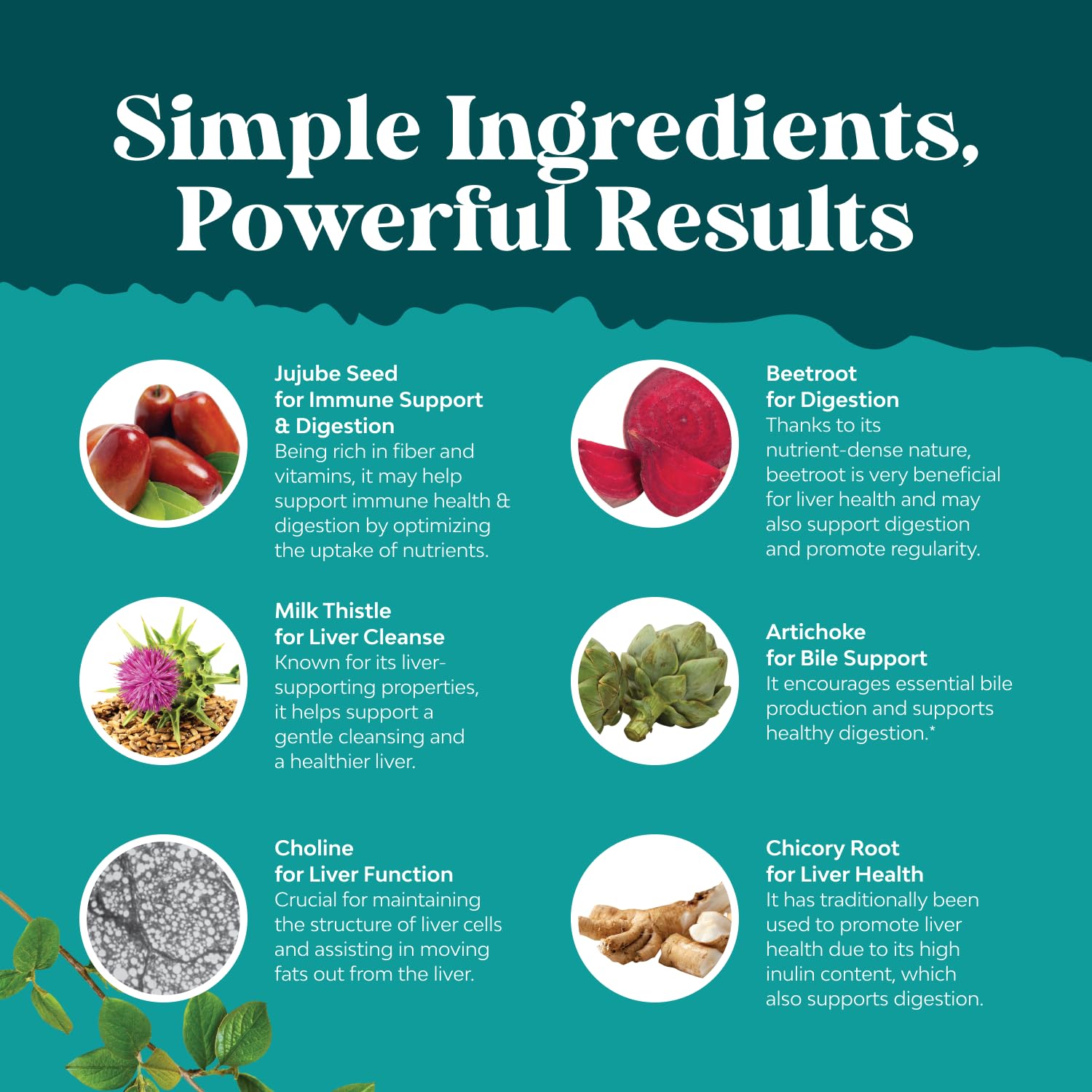 Natures Craft ingredientes botánicos agrupados que resaltan su aporte antioxidante