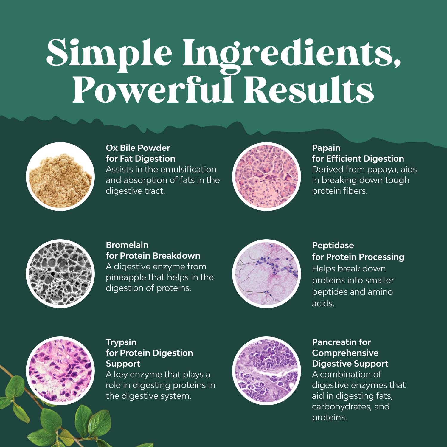Natures Craft cápsulas en la mano para apreciar tamaño y dosificación