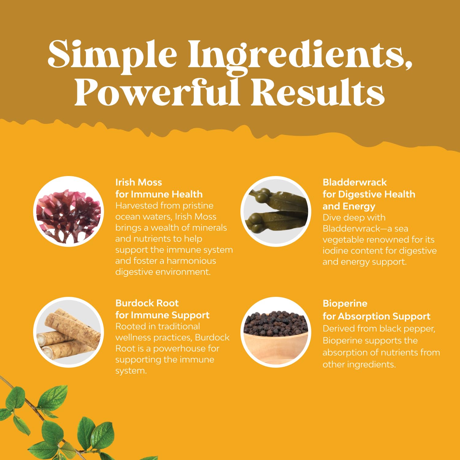 Natures Craft etiqueta legible con ingredientes clave y beneficios nutricionales