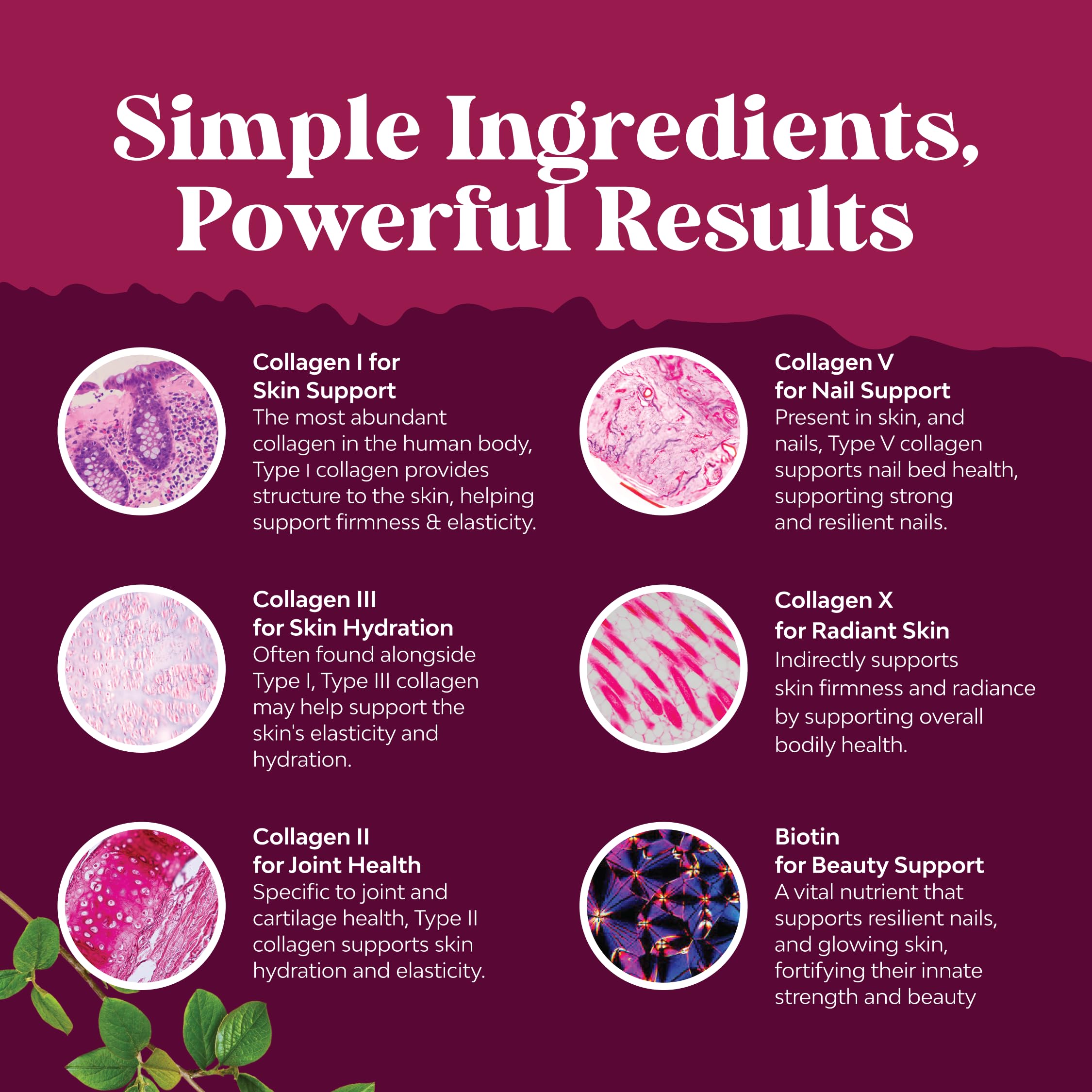 Natures Craft etiqueta de ingredientes enfatizando el complejo multi colágeno y biotina