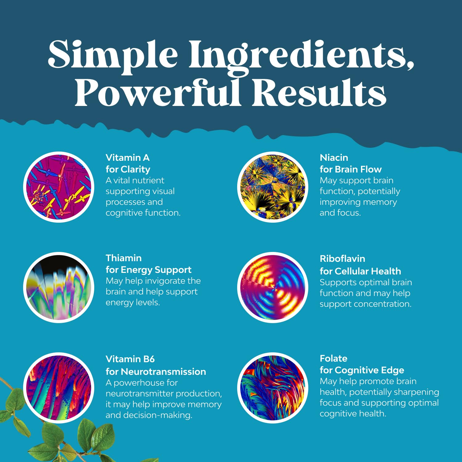 Natures Craft etiqueta con lista de ingredientes y declaración de fabricación fiable