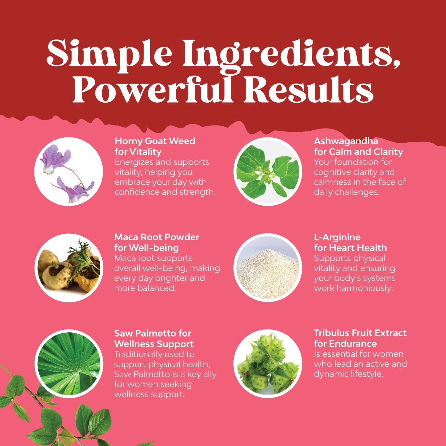 Natures Craft etiqueta con lista de ingredientes clara y beneficios