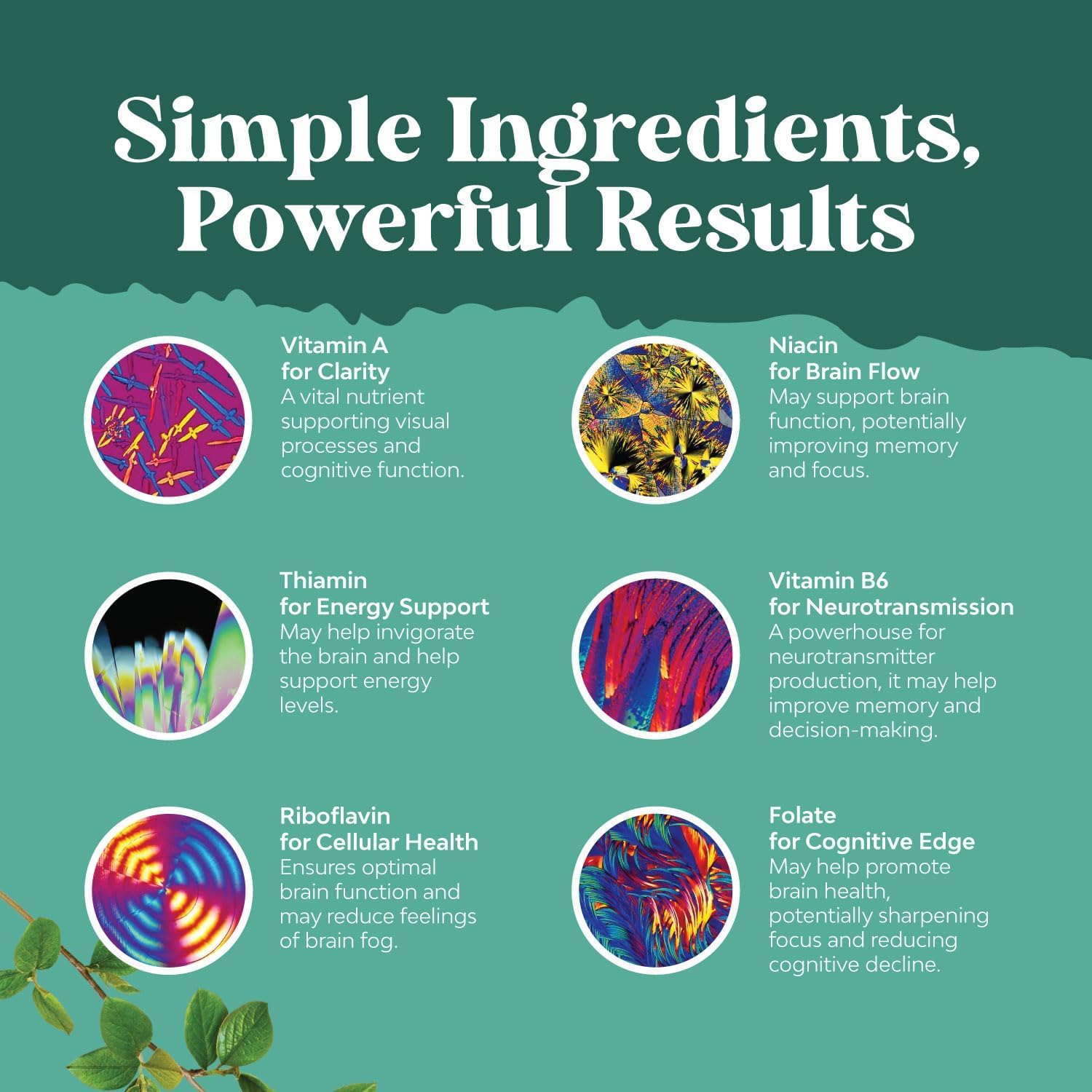 Natures Craft ingredientes botánicos como Bacopa y Huperzina A visibles