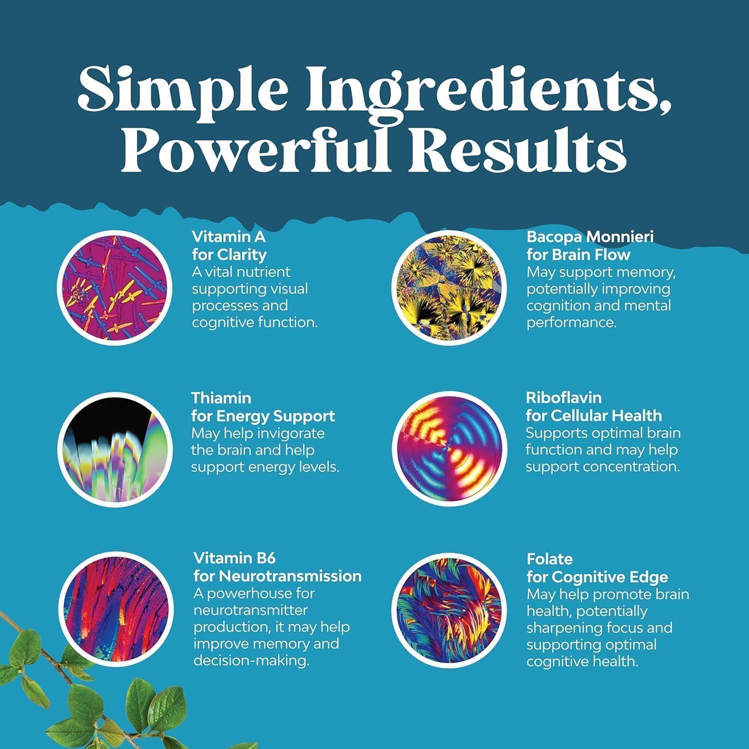 Natures Craft etiqueta con lista de ingredientes y vitaminas, transparencia