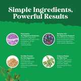 Nature’s Craft ingredientes clave: sales biliares, pancreatina y chanca piedra