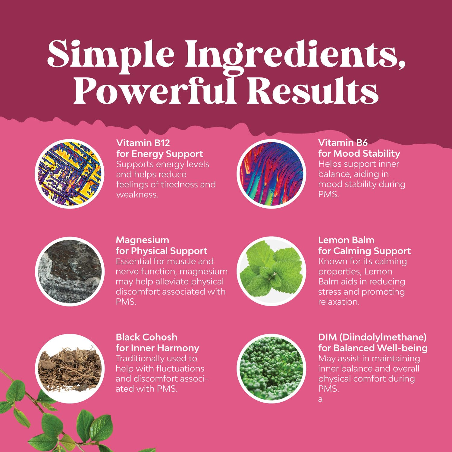 Natures Craft ingredientes naturales como crucíferas y hierbas frescas