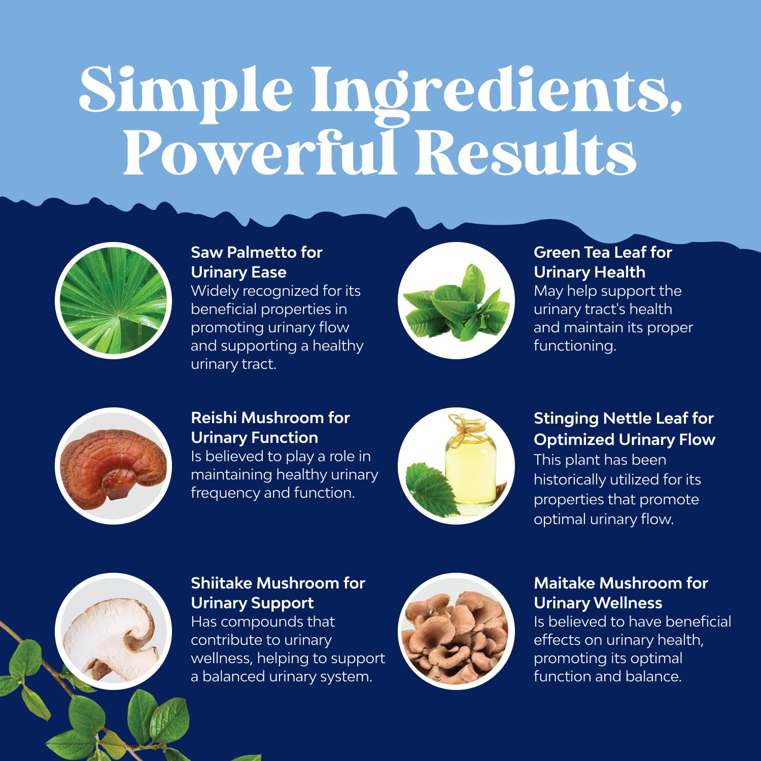 Natures Craft ingredientes secos como saw palmetto y pygeum, soporte natural