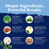 Natures Craft ingredientes secos como saw palmetto y pygeum, soporte natural