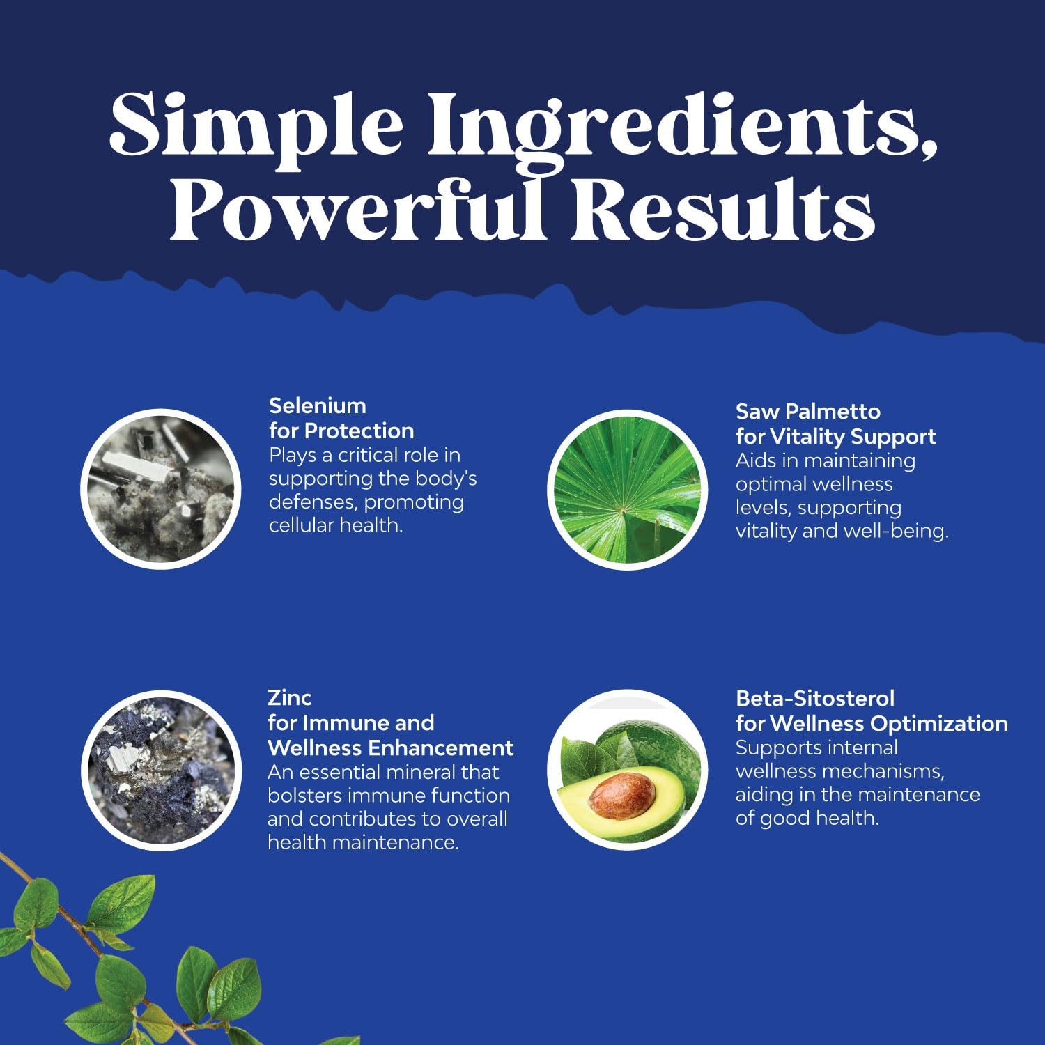 Natures Craft polvo de extracto, evidencia de ingredientes naturales