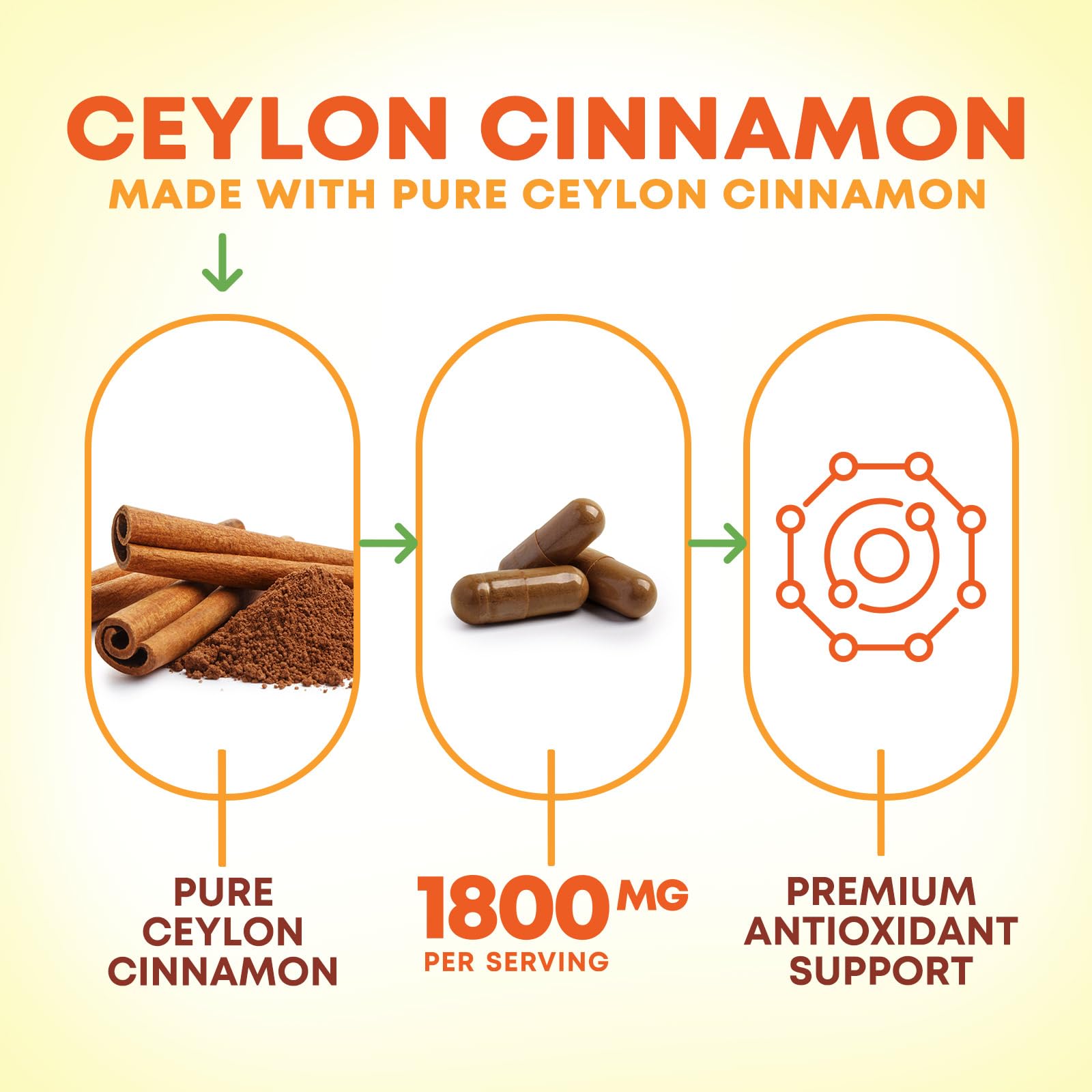 Nature's Nutrition primer plano del polvo de canela Ceylán y textura fina