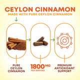 Nature's Nutrition primer plano del polvo de canela Ceylán y textura fina
