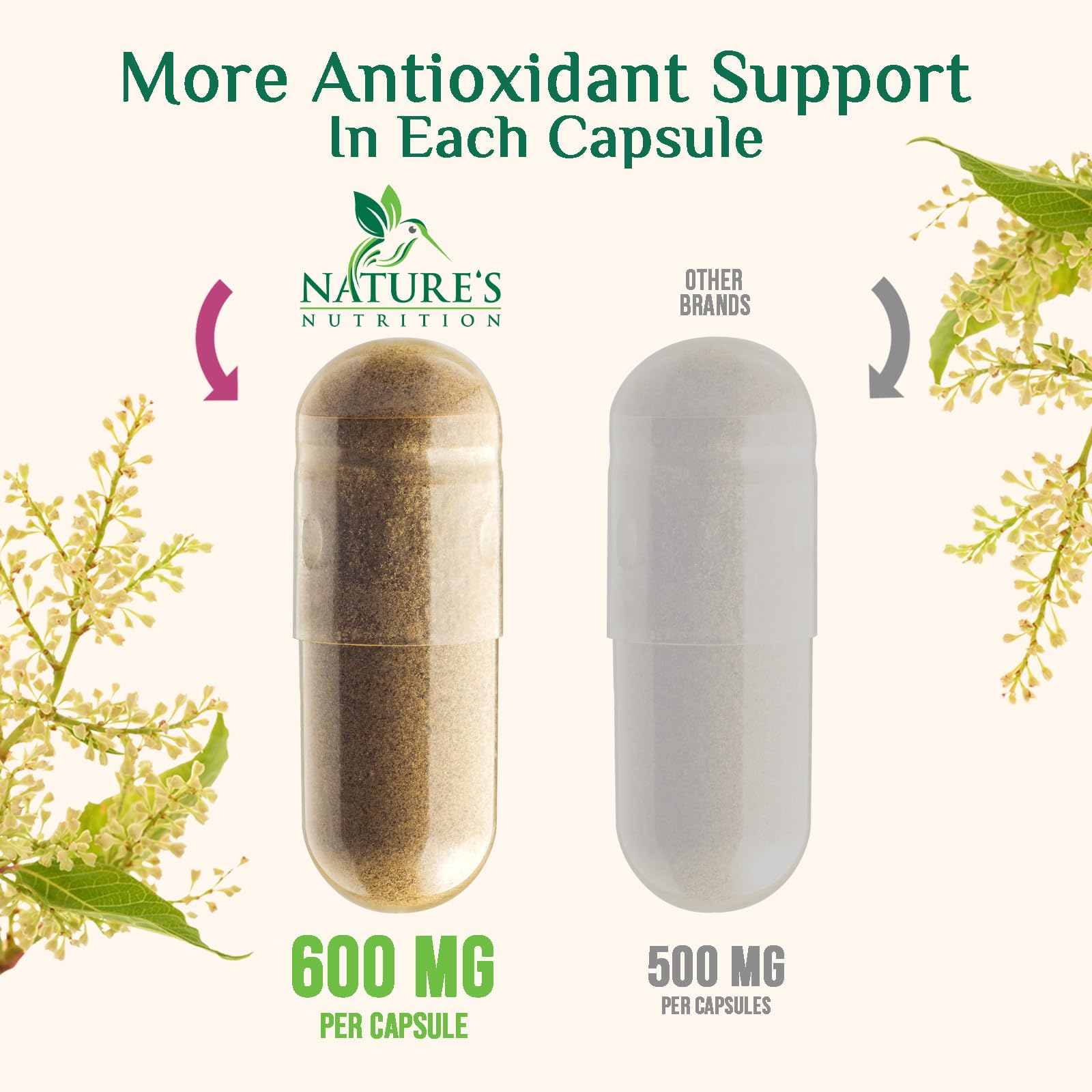 Nature's Nutrition icono corazón con hoja simbolizando apoyo a la salud cardiovascular