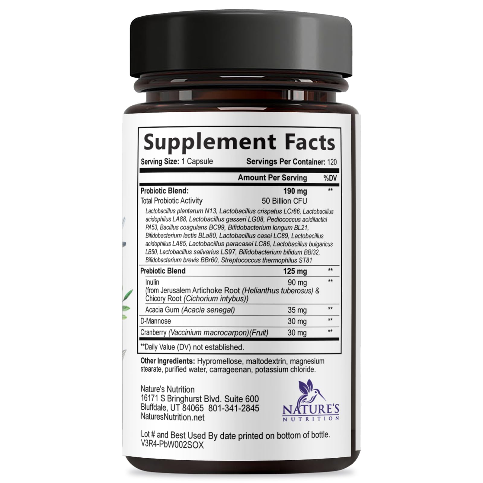 Nature's Nutrition escena de estilo de vida saludable sugiriendo bienestar diario