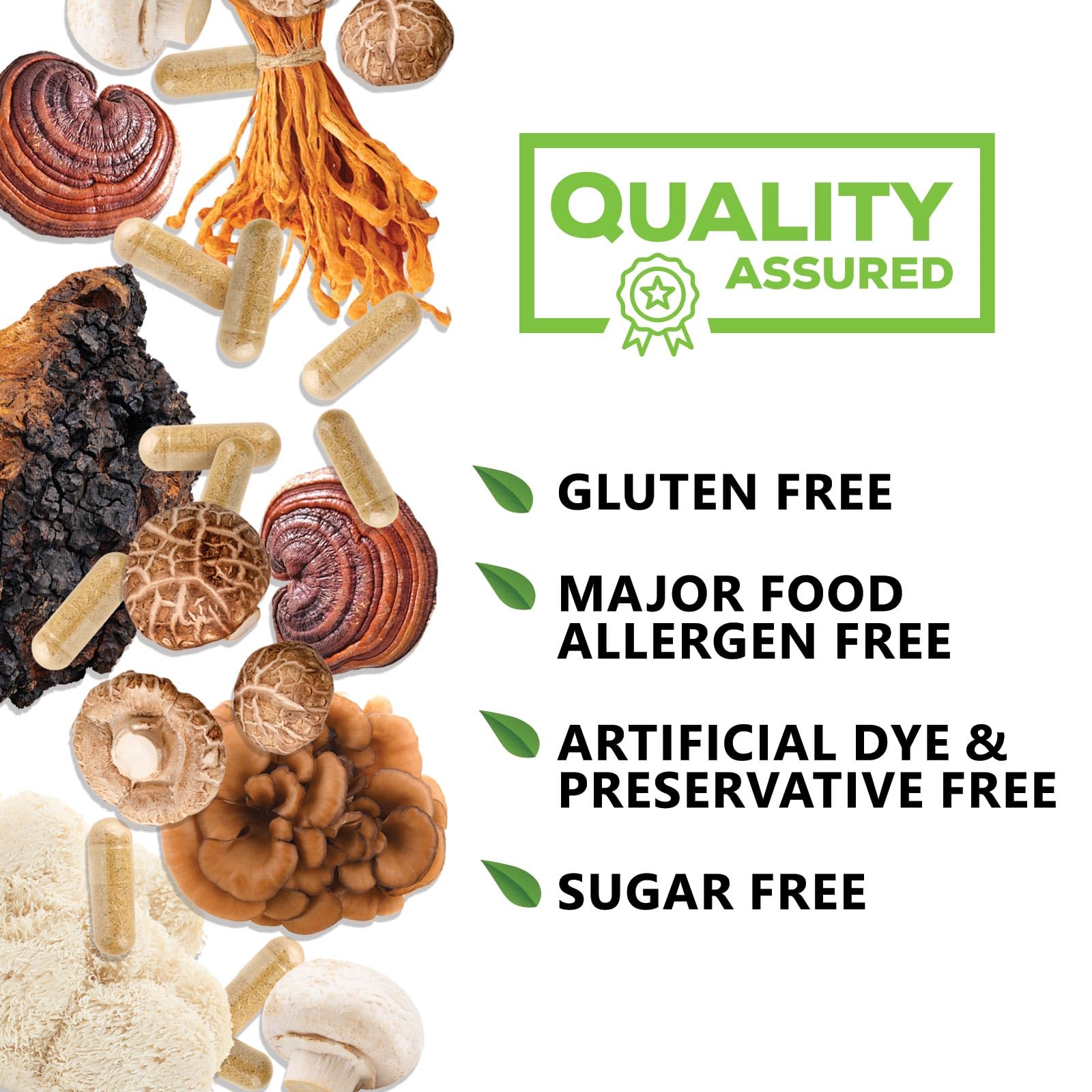 Nature's Nutrition arreglos de lions mane, reishi y chaga destacando ingredientes