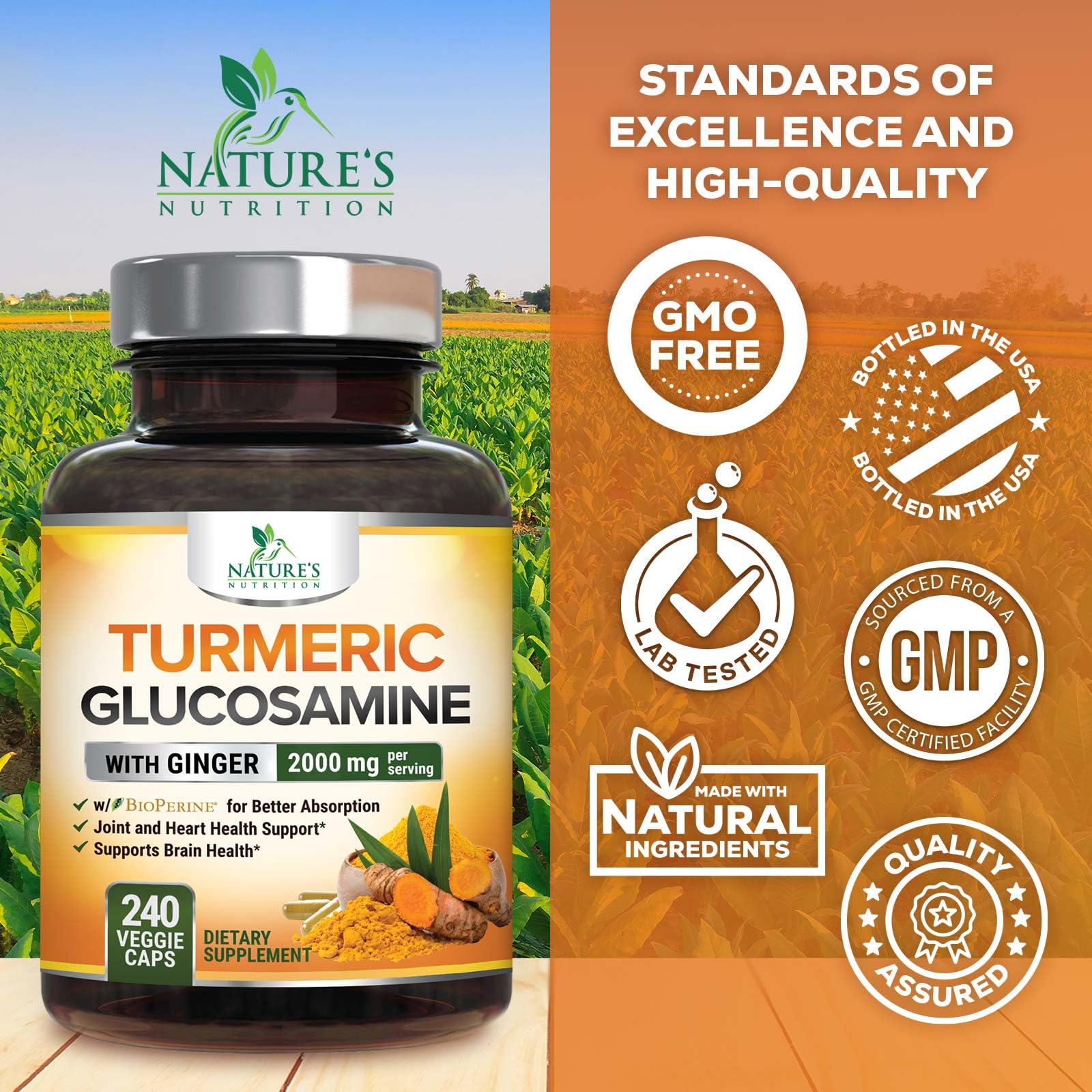 Nature's Nutrition gráfico de BioPerine explicando mejor absorción de curcumina