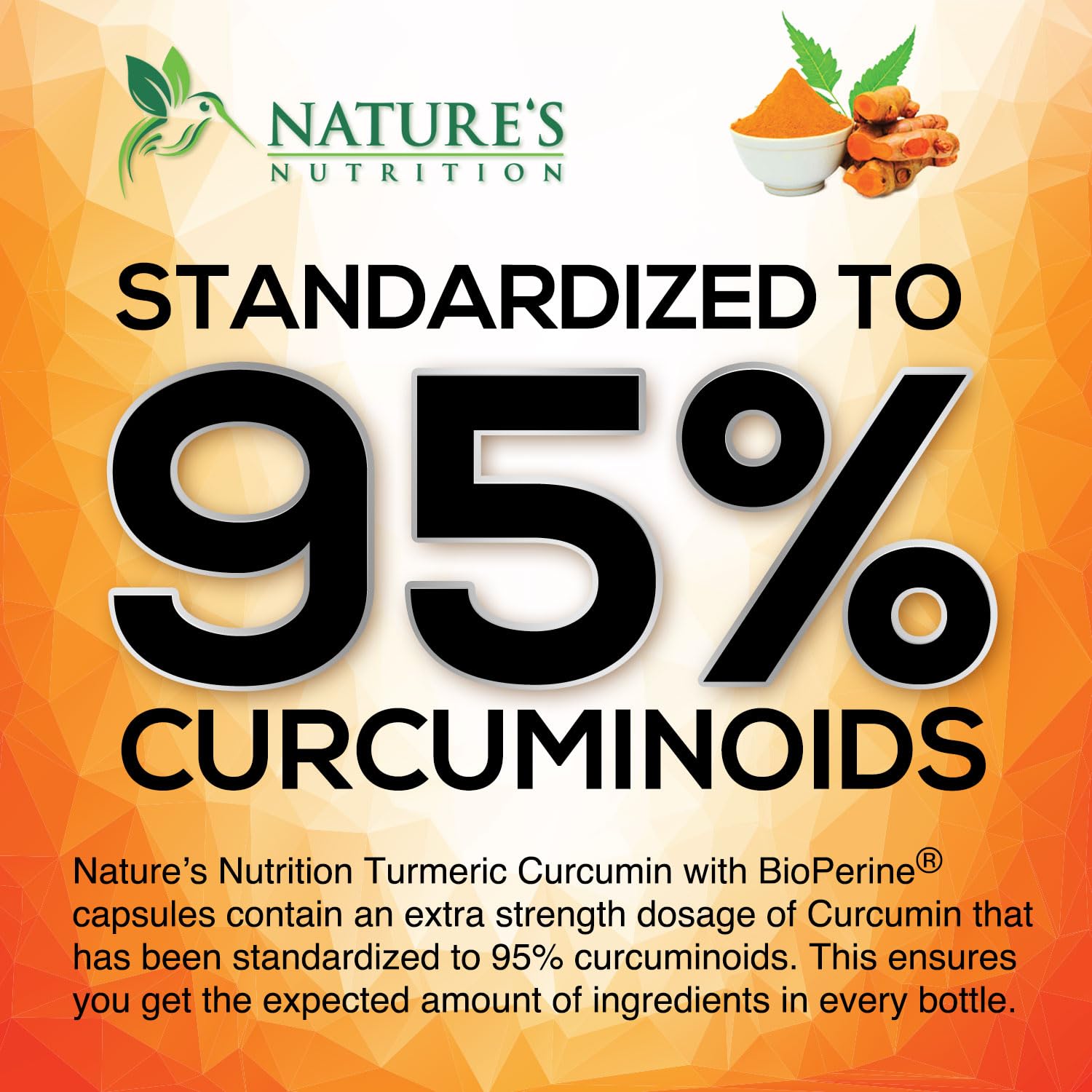 Nature's Nutrition raíces de cúrcuma y jengibre ilustrando ingredientes naturales