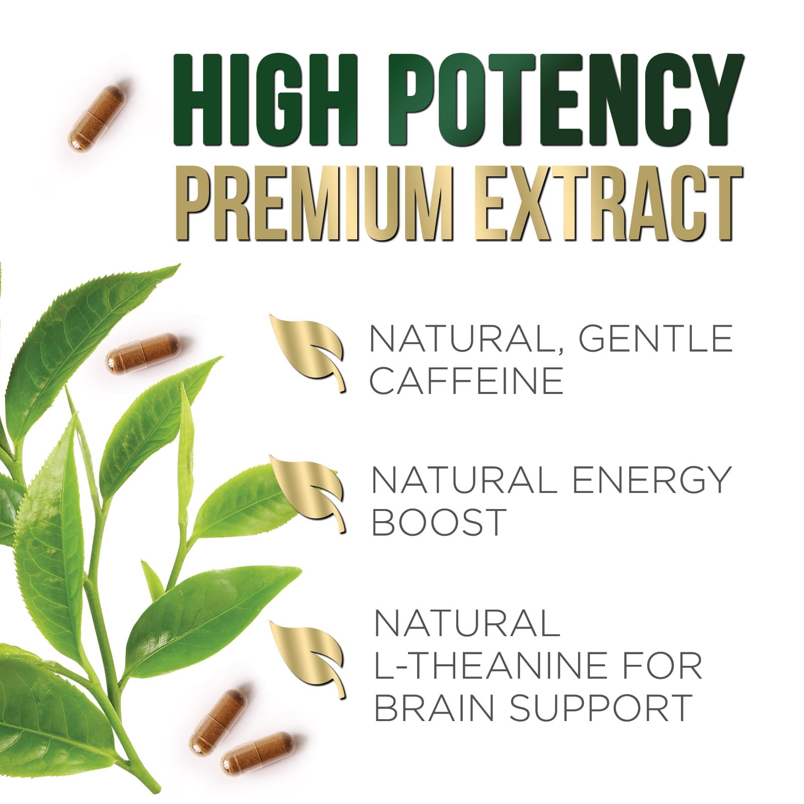 Nature's Nutrition cápsula tomada antes de ejercicio para energía