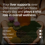 Nature's Pure Blend cápsulas en mano para comparar tamaño y facilidad