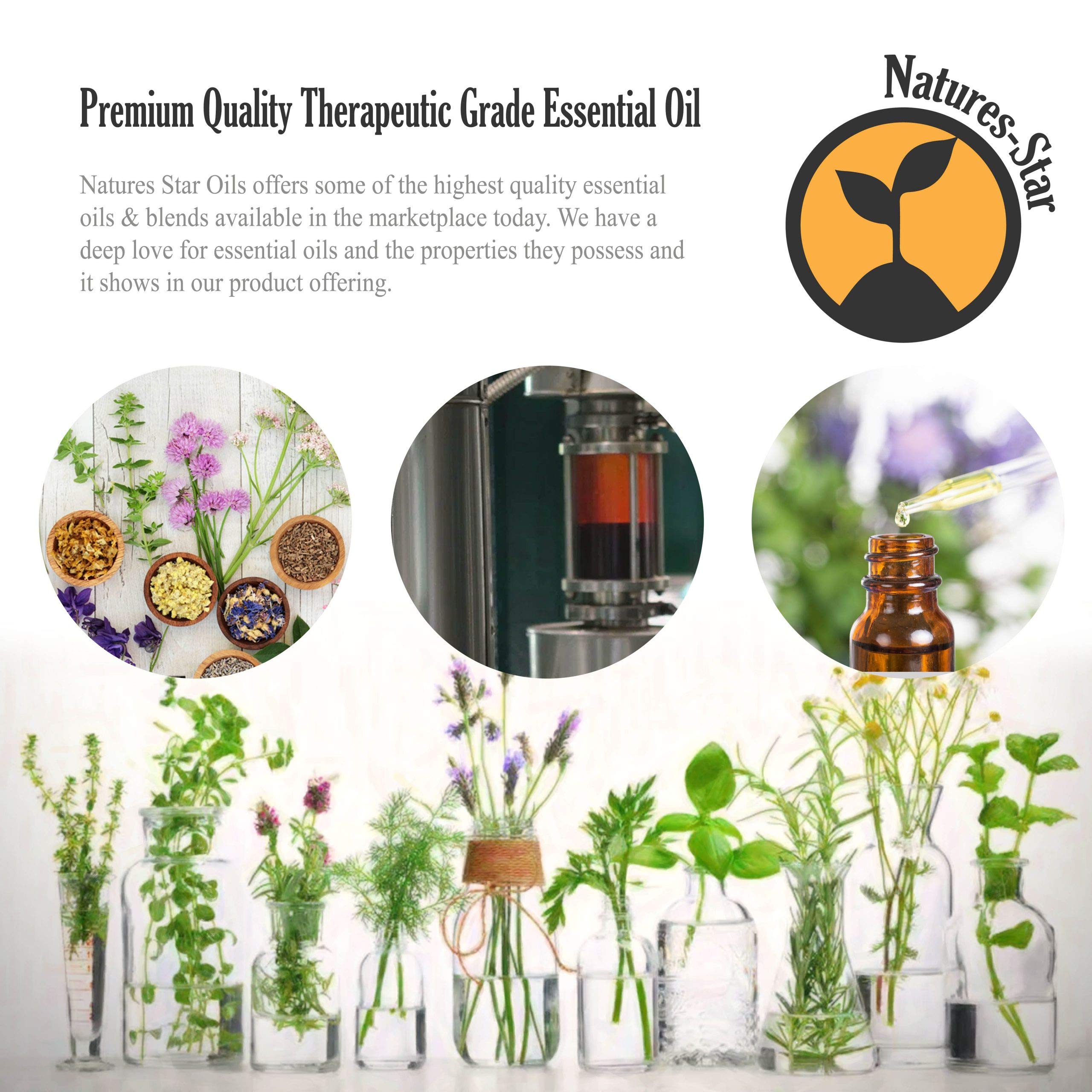 Natures-Star frasco junto a flores de lavanda para mezclar fragancias equilibradas