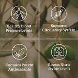 Frasco Blood Pressurex junto a una regla para comparar tamaño y cantidad de 60 cápsulas Nature's Sunshine