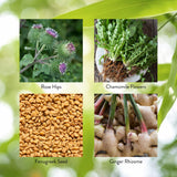 Nature's Sunshine Enviro-Detox cápsula en mano lista para tomar, conveniencia diaria